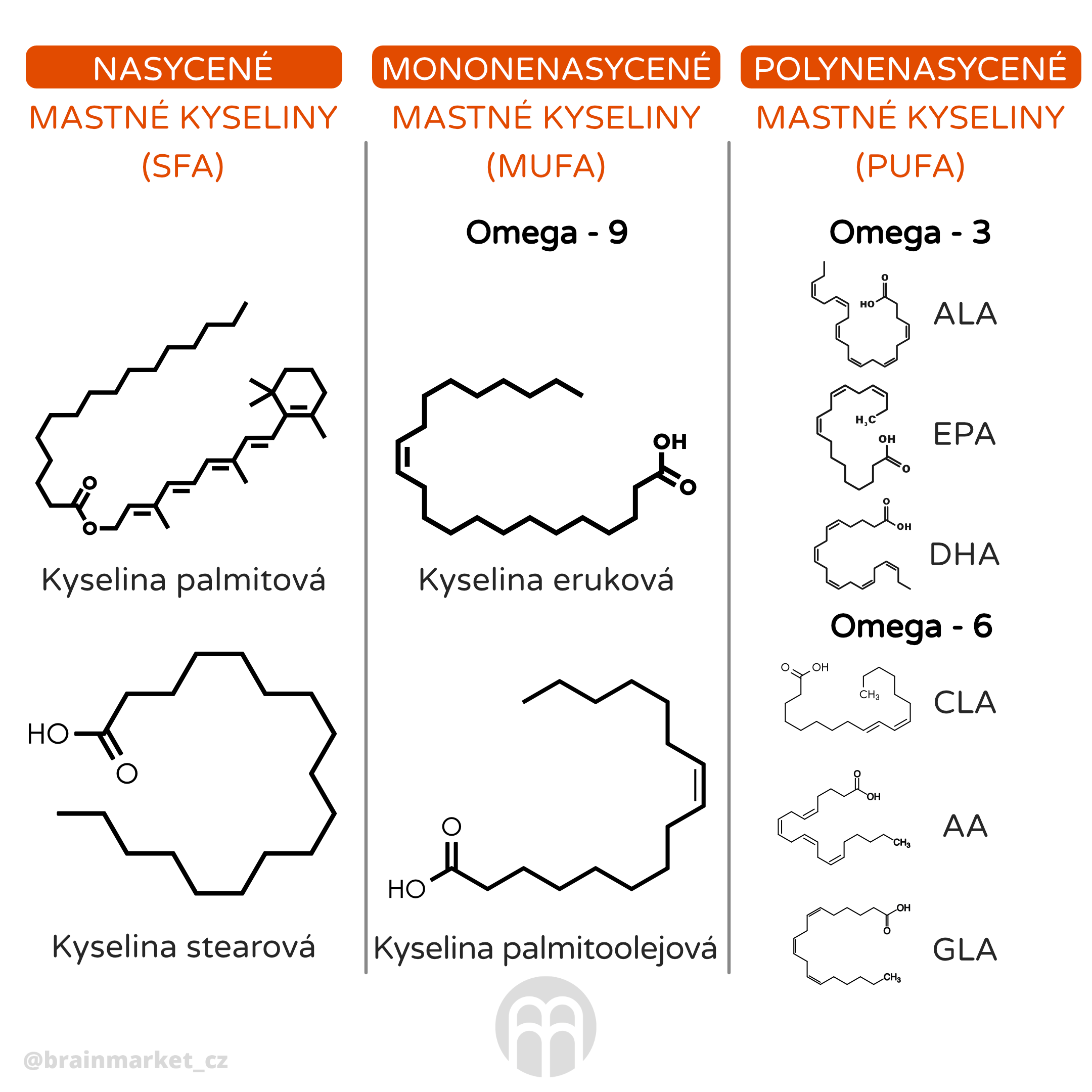 mastne kyseliny_infografika_cz_1